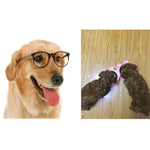 2 in 1 Stainless Steel Bowls, Anti - slippery Mat Cartoon Shape Detachable Pets Bowls, Random Color Delivery - Trustpick