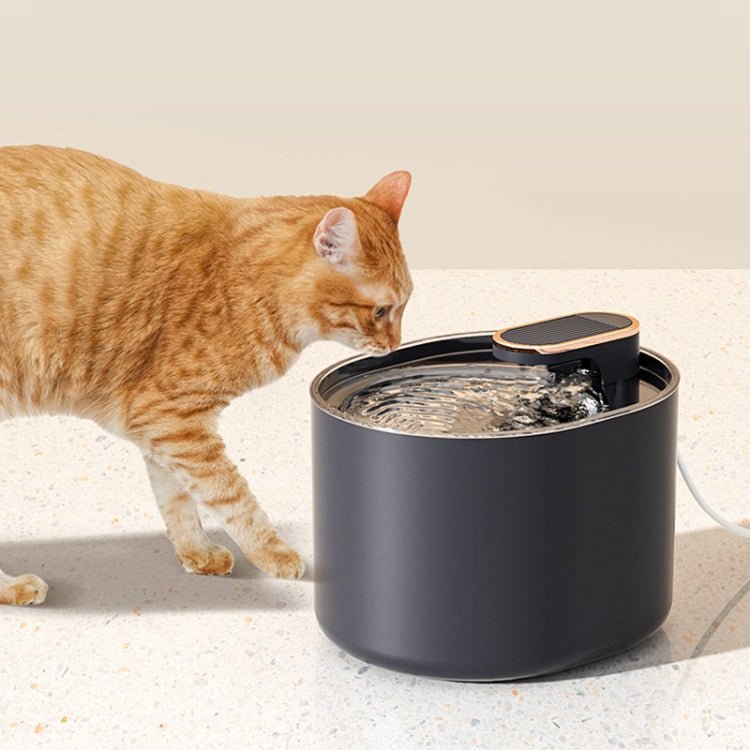 3L Electric Pet Water Dispenser Automatic Cat Water Fountain Mute Water Feeder Bowl - Trustpick