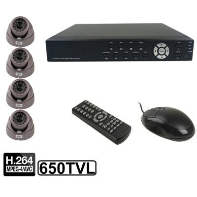 4 - CH Embedded Digital Video Recorder Kit (1 / 3 Sony CCD, 650TVL, 24 x IR LED, 6mm Lens, IR Distance: 25m, H.264 (8204EV+622A) - Trustpick