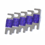 Lot de 5 fusibles AFS Mini ANL 100 A pour autoradio, plaqués nickel.