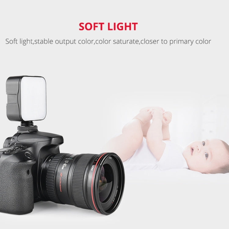 YELANGU LED01 49 LED Video Light for Camera / Video Camcorder, Video Light