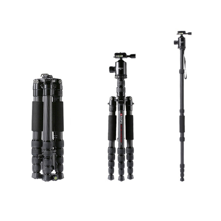 TRIOPO T259G+Q2 Adjustable Portable Carbon Fiber Tripod with Q-2 Ball Head for SLR Camera, T259G+Q2