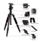 TRIOPO T259G+Q2 Adjustable Portable Carbon Fiber Tripod with Q-2 Ball Head for SLR Camera, T259G+Q2