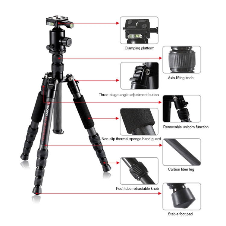 TRIOPO T259G+Q2 Adjustable Portable Carbon Fiber Tripod with Q-2 Ball Head for SLR Camera, T259G+Q2