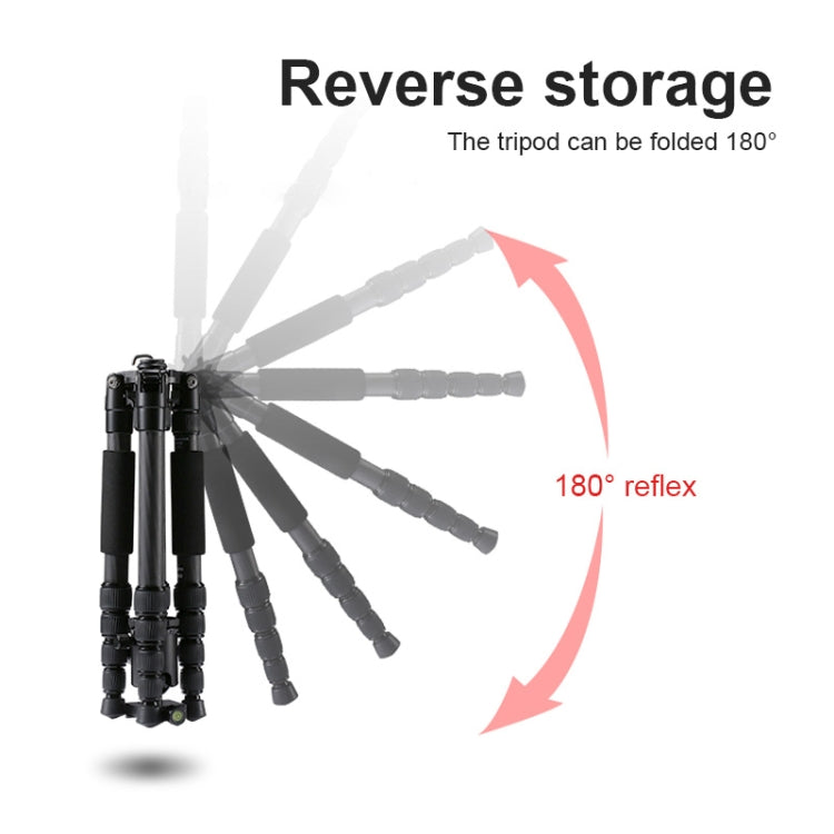 TRIOPO T259G+Q2 Adjustable Portable Carbon Fiber Tripod with Q-2 Ball Head for SLR Camera, T259G+Q2