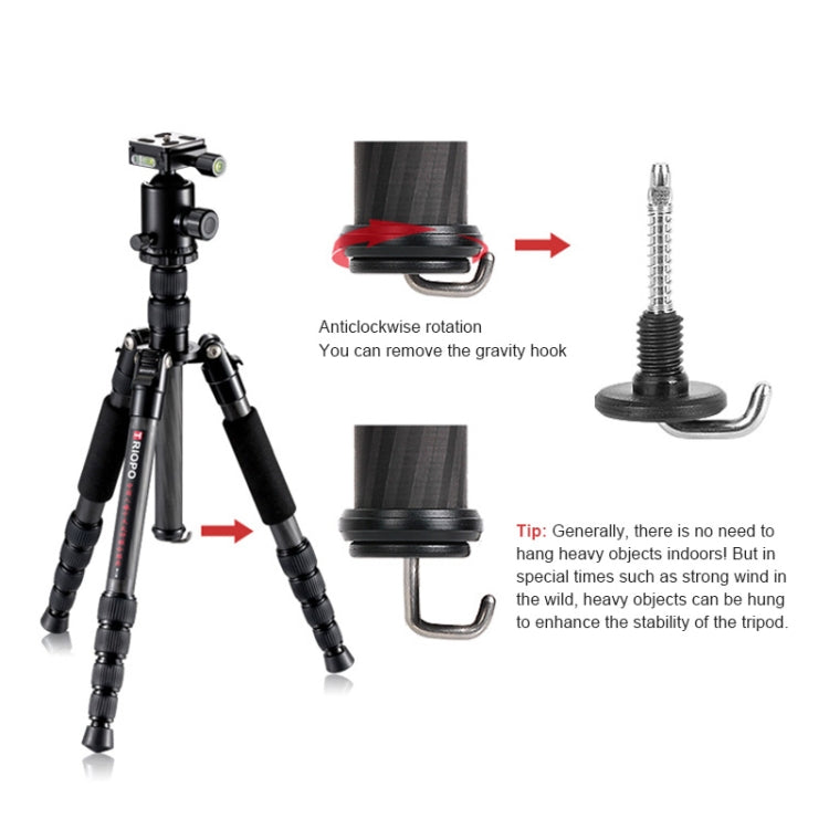TRIOPO T259G+Q2 Adjustable Portable Carbon Fiber Tripod with Q-2 Ball Head for SLR Camera, T259G+Q2