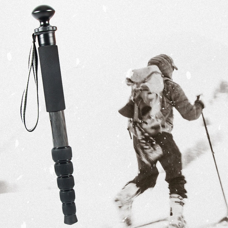 BEXIN P306C Portable Travel Outdoor DSLR Camera Carbon Fiber Monopod Holder, P306C