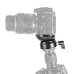 BEXIN DY-60N 3/8 inch Thread Dome Professional Tripod Leveling 360 Degree Panorama Head Base with Bubble Level & 3/8 inch Screw Adapter, DY-60N 3/8 inch