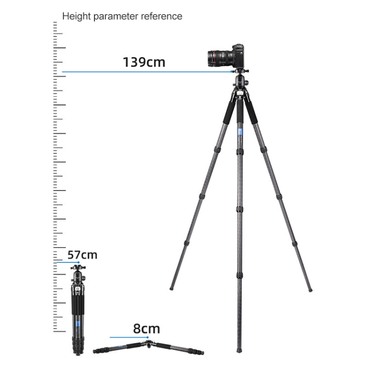 BEXIN RC294 Portable Collapsible Carbon Fiber Camera Tripod with K44 Panoramic BallHead, RC294+K44