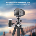 BEXIN RC294 Portable Collapsible Carbon Fiber Camera Tripod with K44 Panoramic BallHead, RC294+K44