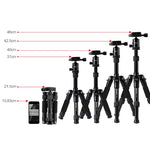 TRIOPO T226 Adjustable Portable  Aluminum Alloy Tripod with D-0 Ball Head for SLR Camera, T226