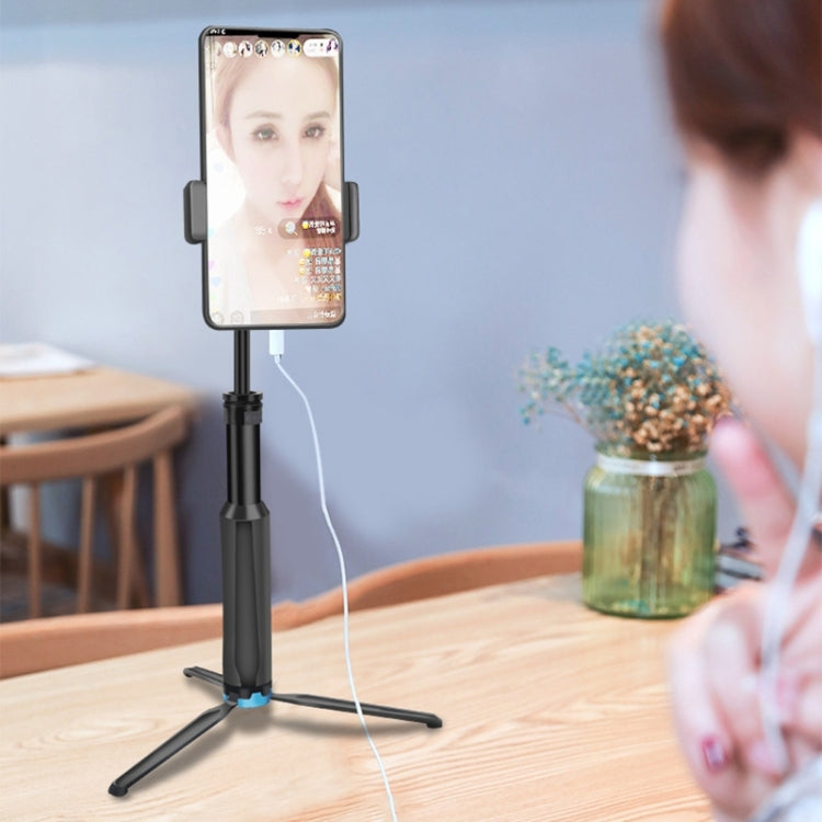 RUIGPRO One-piece Handheld Tripod Selfie Stick Telescopic Monopod Mount for GoPro, Insta360, DJI and Other Action Cameras, Black)