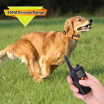 998DC Bark Stopper Remote Control Electric Shock Collar Dog Training Device, EU Plug, US Plug, AU Plug