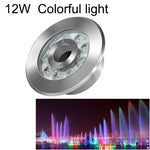 Landscape Colorful Color Changing Ring LED Stainless Steel Underwater Fountain Light, 9W, 12W, 24W