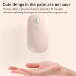 FOREV FVW312 1600dpi 2.4G Wireless Silent Portable Mouse, 2.4G(White)