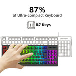 HXSJ L100 87 Keys RGB Backlit Film 2.4G Wireless Keyboard