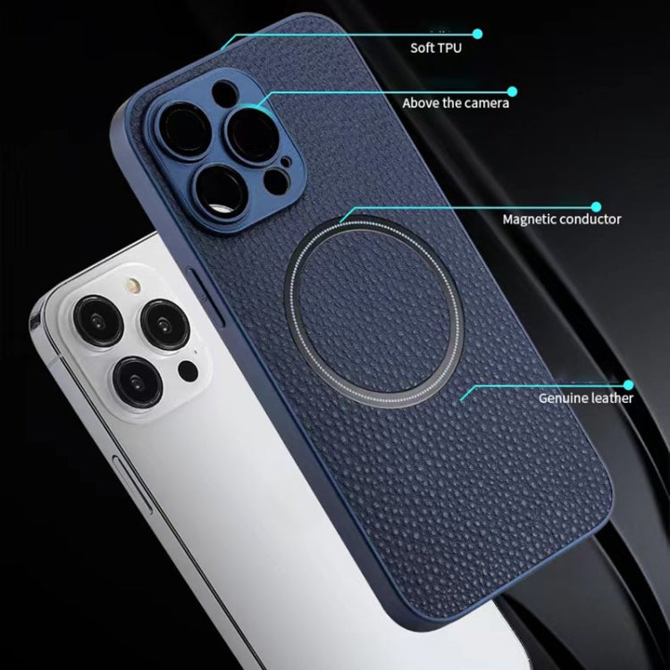 Skin Feel Litchi Texture MagSafe Magnetic Phone Case, For iPhone 11 Pro Max