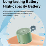 EWA A129 Mini Bluetooth 5.0 Bass Radiator Metal Speaker