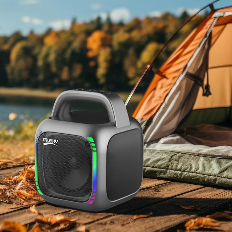 MS6K Portable RGB Dazzling Bluetooth Speaker Outdoor Karaoke Subwoofer, No Mic, Dual Mic