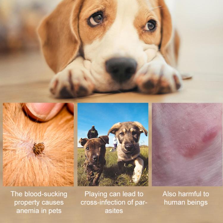 Pet Deworming Calming Collar Fleas Ticks Removing, Aluminum Box Packing, 72cm For Large Dog, 56cm For Puppy, 56cm For Cat