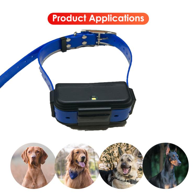 TK919 4G Dog Collar IP67 Waterproof GPS Locator
