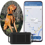 TK919 4G Dog Collar IP67 Waterproof GPS Locator