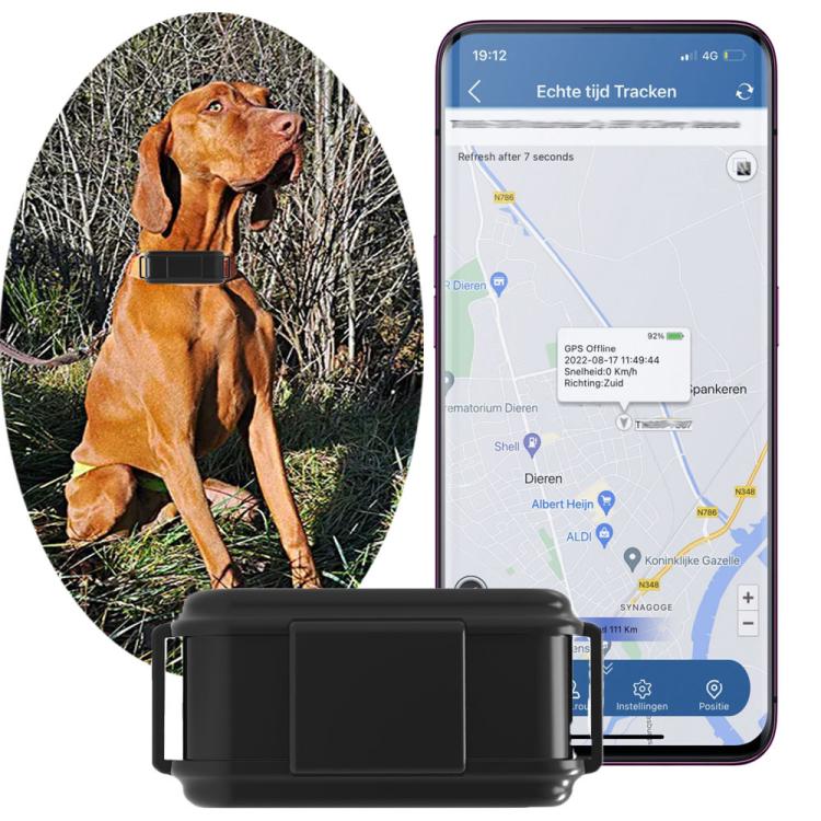 TK919 4G Dog Collar IP67 Waterproof GPS Locator
