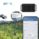 TK919 4G Dog Collar IP67 Waterproof GPS Locator
