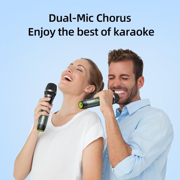 Zealot S76 50W Portable Outdoor RGB Bluetooth Speaker, with 2pcs Microphones, with 1pc Microphone, without Microphone