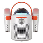 Lebo Y11 Outdoor Portable Wireless Karaoke Dual Microphone Bluetooth Speaker
