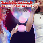 Lebo Y11 Outdoor Portable Wireless Karaoke Dual Microphone Bluetooth Speaker