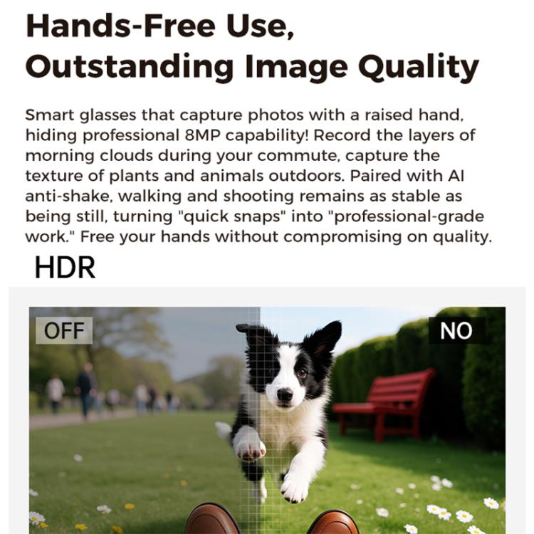 M02 8MP Camera AI Smart Glasses with Photochromic Lenses