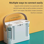 YS-219 Mini Portable Karaoke Wireless Bluetooth Speaker with 2 Microphones