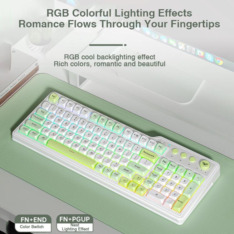 AULA F3099 99 Keys RGB Lighting Tri-Mode Gaming Keyboard