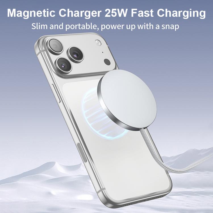 نص بديل للصورة