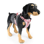 FunAdd Traction Rope Reflective Breathable Nylon Pet Vest Dog Harness, Size: M, Size: M