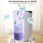 Portable Square UV Sterilization Anion Air Purifier Car Home Air Humidifier, Square UV Sterilization