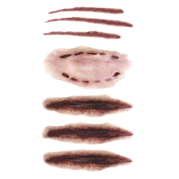 20pcs S-250 Halloween Terror Realistic Scratches Wound Injury Scar Temporary Tattoo Sticker, S-250/20pcs