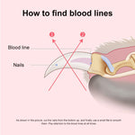 Pet Nail Clippers and Polisher Set, Size: Small, Small Pink