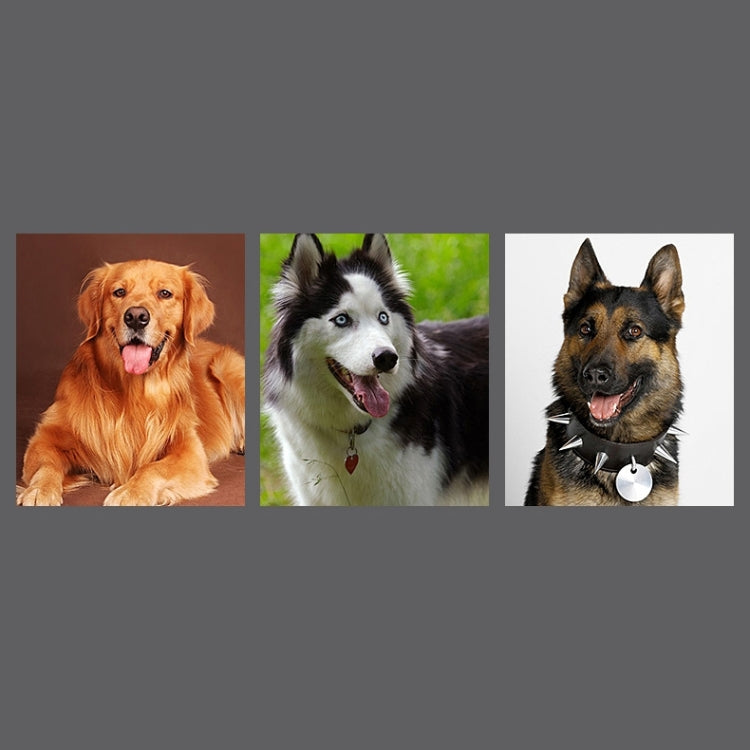 Collier de traction télescopique en cuir de vachette pour chien, convient aux chiens moyens et grands, taille M, longueur de la corde : 128 cm, tour de cou : 32-44 cm