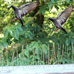 5 PCS / Set Bird Repeller 50cm Stainless Steel Nails Bird Spikes SK411, 5 PCS