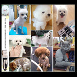 P2 110-240V Ceramics Titanium Professional Pet Electric Scissors Pets Hair Clippers with Four Combs, Ceramics Titanium Scissors