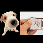 P2 110-240V Ceramics Titanium Professional Pet Electric Scissors Pets Hair Clippers with Four Combs, Ceramics Titanium Scissors