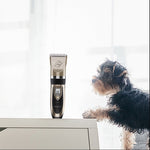 P2 110-240V Ceramics Titanium Professional Pet Electric Scissors Pets Hair Clippers with Four Combs, Ceramics Titanium Scissors