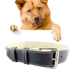 Leather Pet Dog Collar Pet Products Big Dog Collar, Size: L, 2.5 * 51cm, Size: L