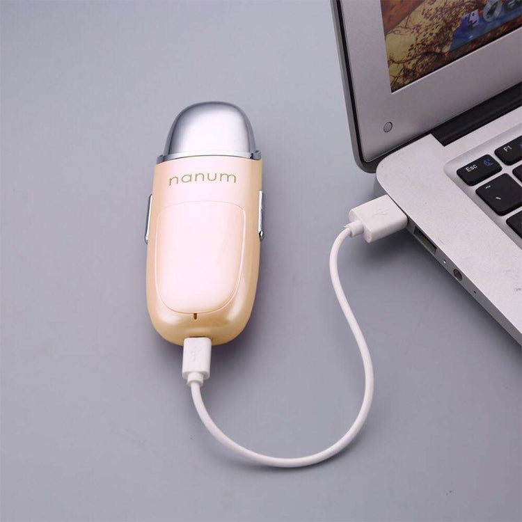 Nanum Facial Beauty Hydrating Massager Mini Skin Care Water Spraying Misting Humidifier / Automatic Alcohol Sprayer