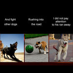 Medium and Large Dog Pet Solar + USB Charging LED Light Collar, Neck Circumference Size: S, 35-40cm, Size: S