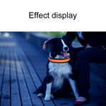 Medium and Large Dog Pet Solar + USB Charging LED Light Collar, Neck Circumference Size: L, 50-60cm, Size: L