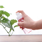 10 Stück tragbare, nachfüllbare, transparente, leere Parfümzerstäuber aus Kunststoff mit feinem Nebel, 100 ml.