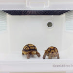 Digital Round Shaped Reptile Box Centigrade Thermometer & Hygrometer with Screen Display